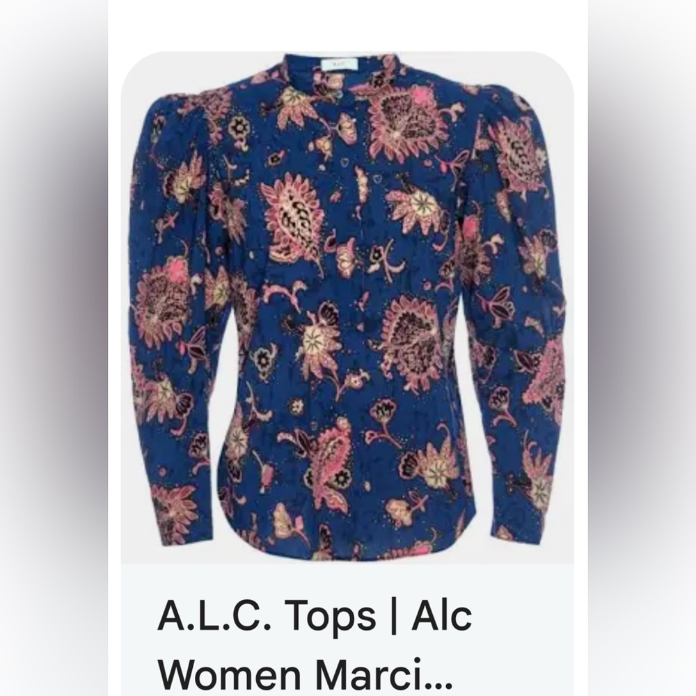 ALC Marci top Floral Long Sleeve Blouse Size 2